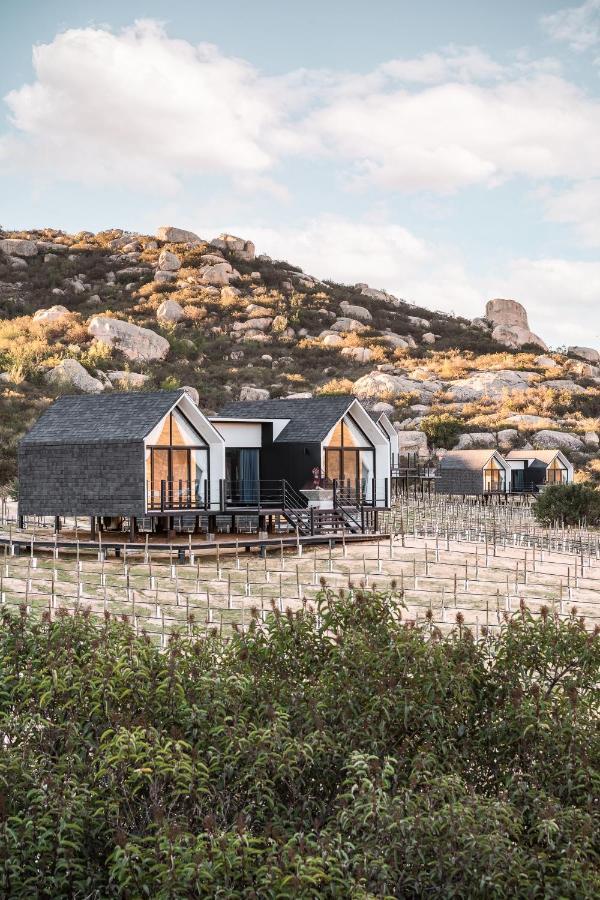 Oeno Wine Lodge Valle de Guadalupe Exteriér fotografie