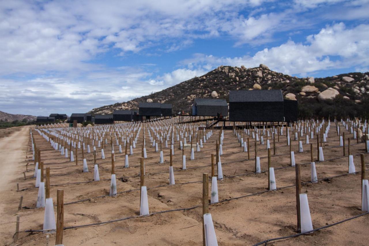 Oeno Wine Lodge Valle de Guadalupe Exteriér fotografie